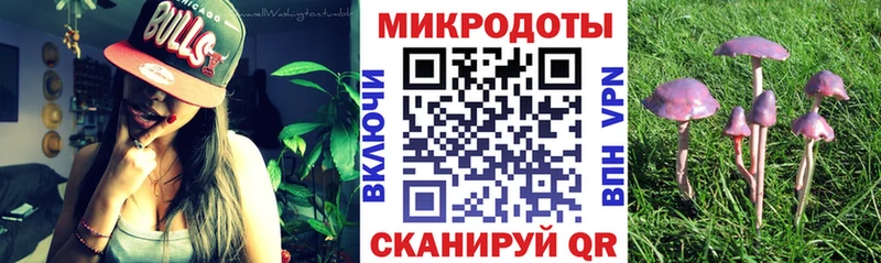 Галлюциногенные грибы мицелий  Купить  Касли 